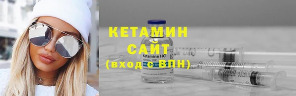 гашик Алексин